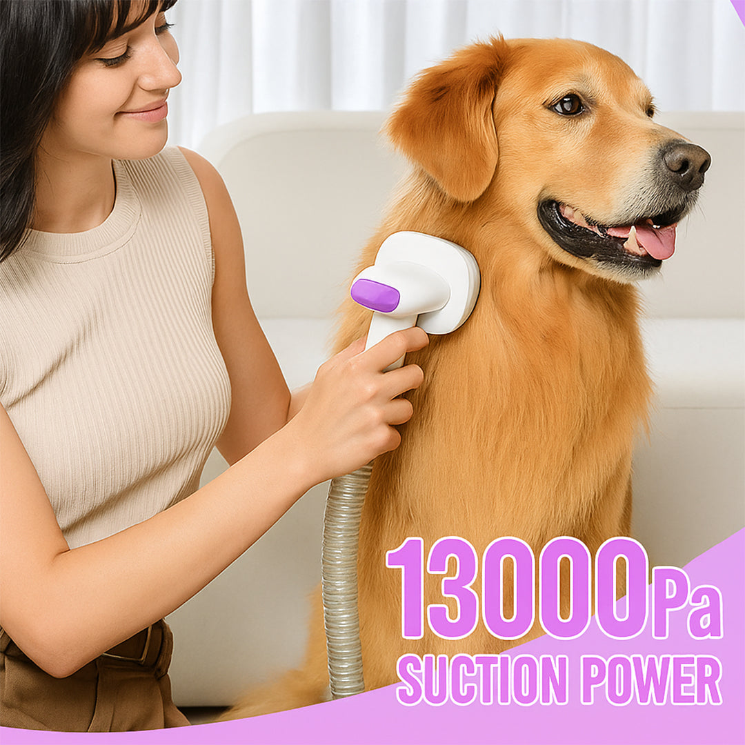 Finally! Professional Pet Grooming at Home Without the Drama, Mess, or $200 Bills