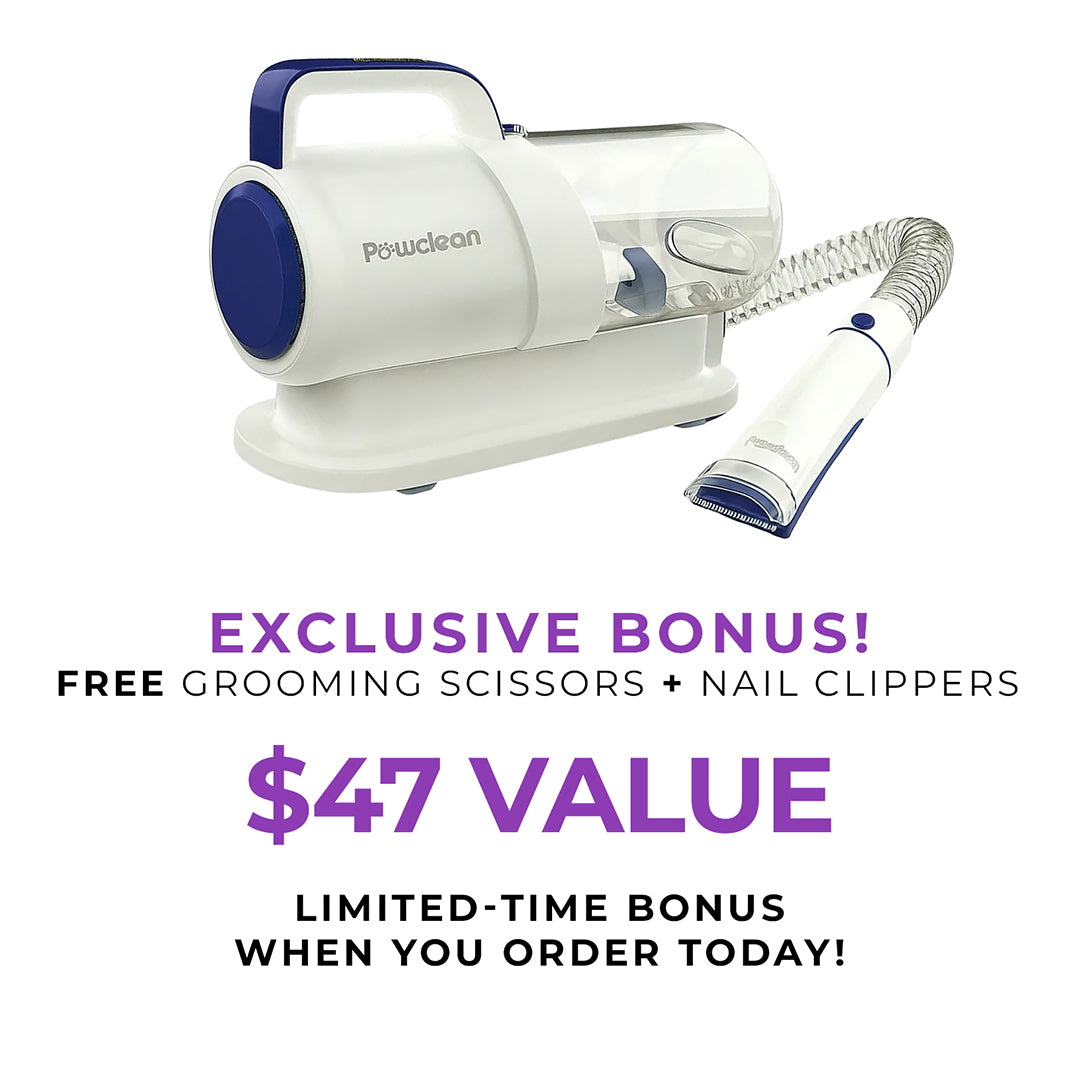 Finally! Professional Pet Grooming at Home Without the Drama, Mess, or $200 Bills