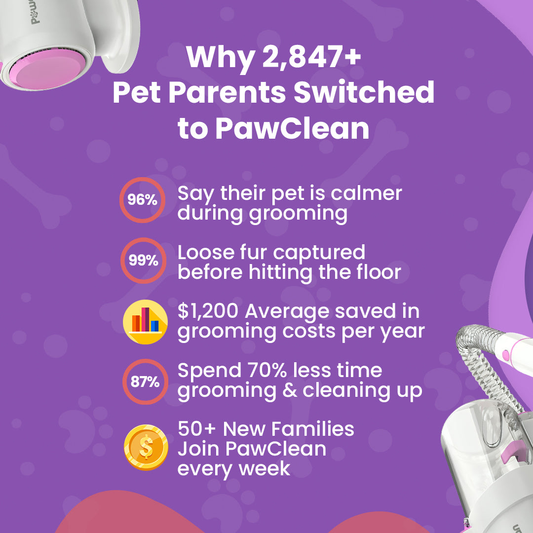 Finally! Professional Pet Grooming at Home Without the Drama, Mess, or $200 Bills
